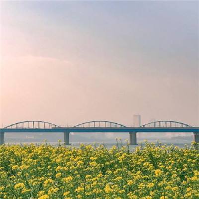 情剑修仙游戏(暂未上线)v1.0.1 安卓版